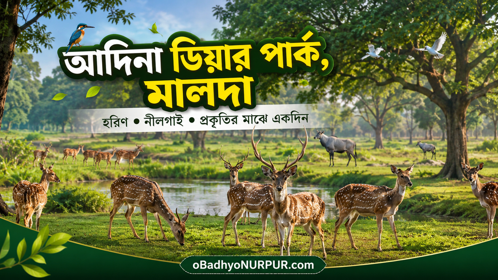 আদিনা ডিয়ার পার্ক
